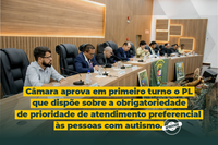 Câmara aprova projeto de lei que garante atendimento preferencial a autistas