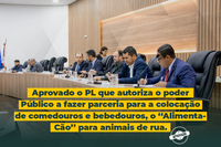 Câmara aprova projeto que autoriza colocação de comedouros e bebedouros para animais em situação de rua em Sapezal