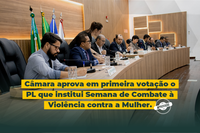 Câmara aprova projeto que institui Semana de Combate à Violência contra a Mulher