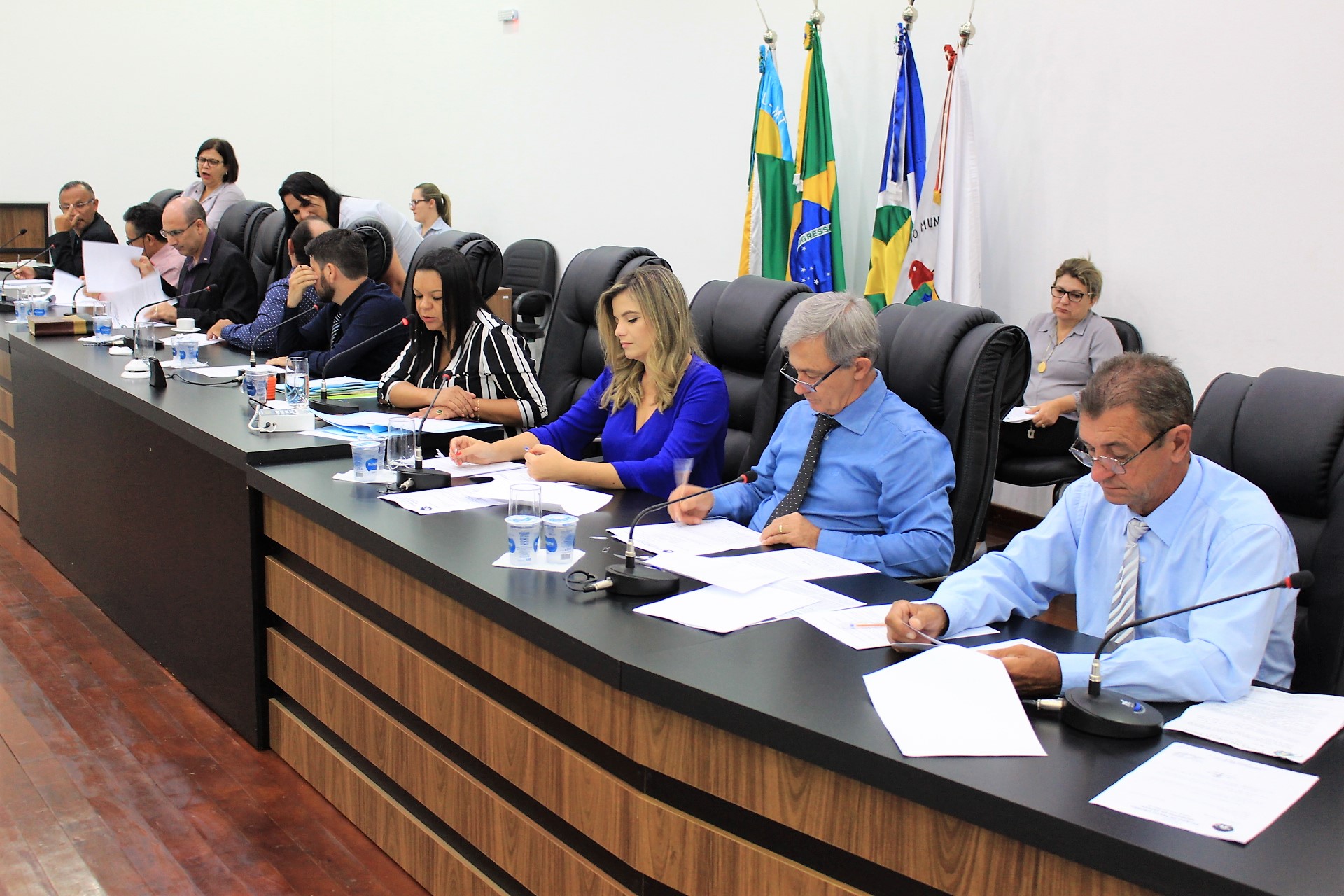 CÂMARA MUNICIPAL DE SAPEZAL REALIZA DÉCIMA QUINTA SESSÃO ORDINÁRIA DE 2018