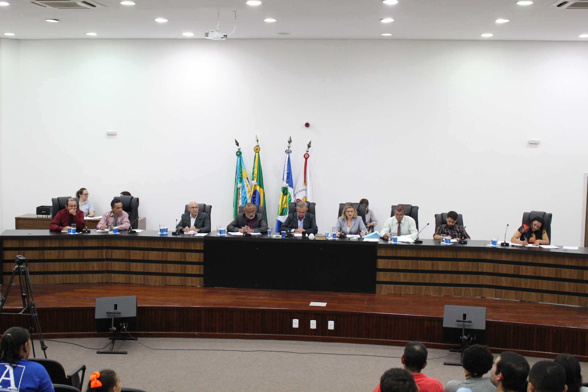 CÂMARA MUNICIPAL DE SAPEZAL REALIZA DÉCIMA SEGUNDA SESSÃO ORDINÁRIA DE 2019