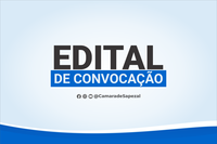 Contas Anuais de Governo - Exercício 2020