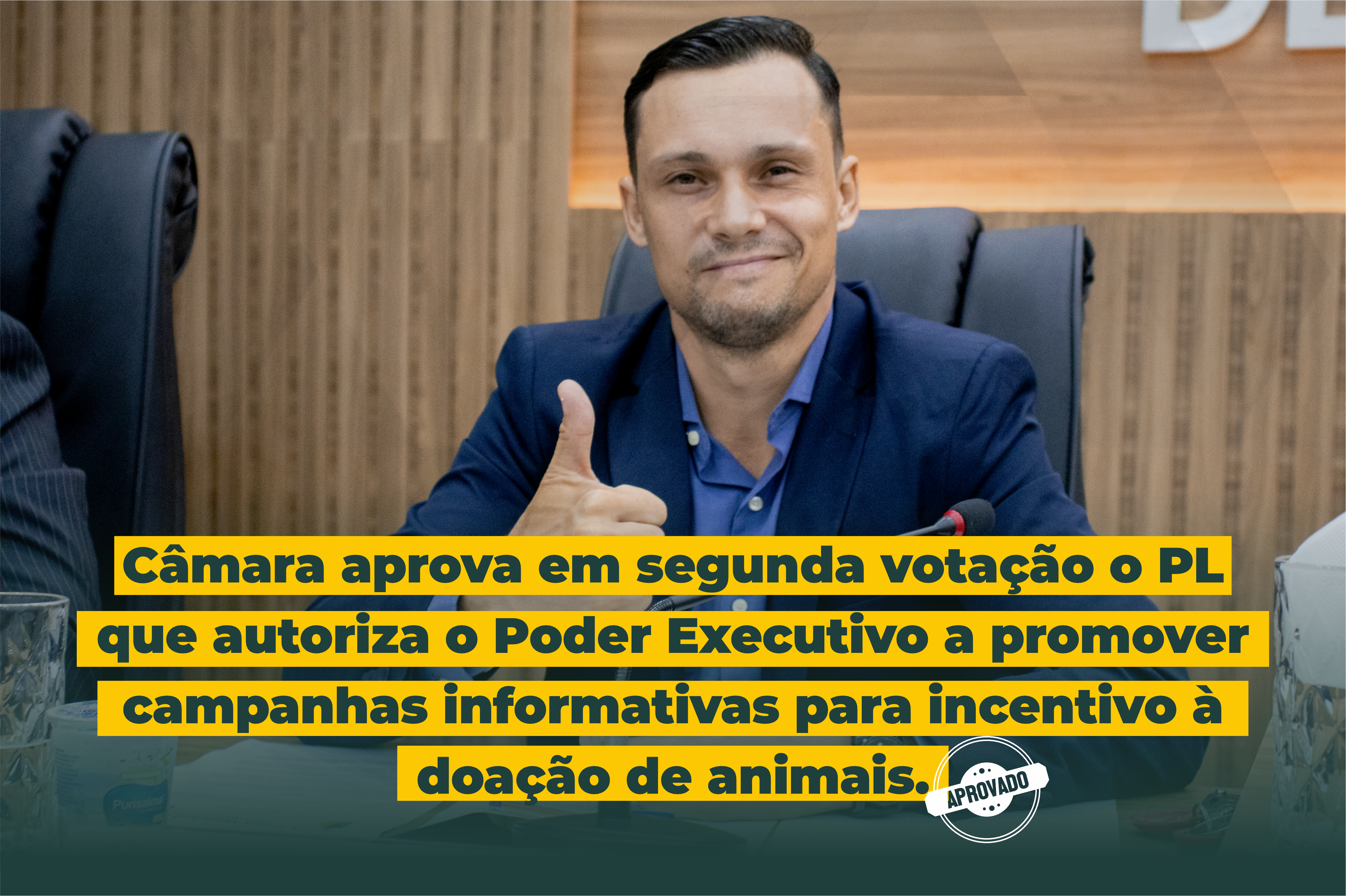 PL que promove campanhas informativas para incentivo à adoção de animais é aprovado na Câmara