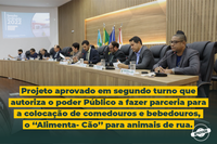 Projeto "Alimenta-Cão" é aprovado em segundo turno e segue para sanção do prefeito municipal